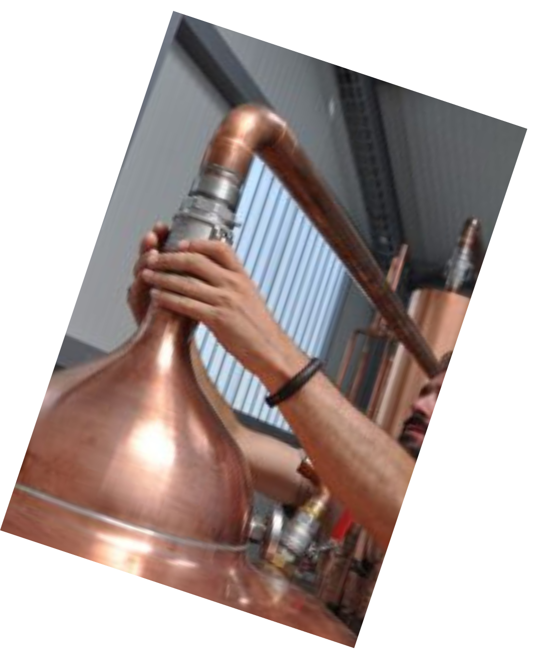 Vinification